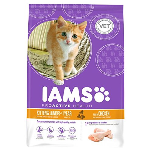 iams kitty food