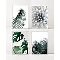 BILDER SET °3: TROPISCH -ungerahmt- 4 x DIN A4, Natur, Palme, Sukkulent, Monstera, Pflanze
