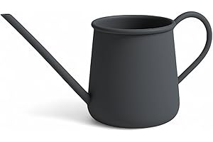 ‎LIVLIG53 LIVLIG Watering Can Small Metal 1 L, Small Watering Can for Indoor Plants, Flower Watering Can with Extra Long Spout, Anthracite