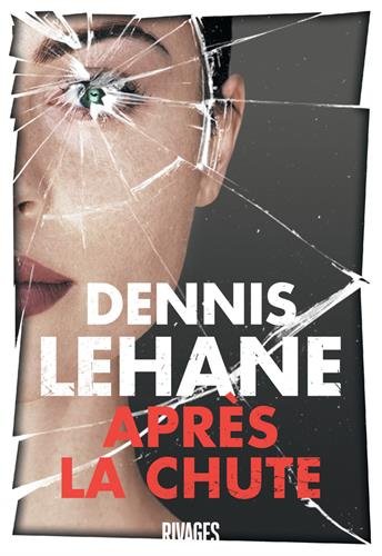 couverture de : Après la chute