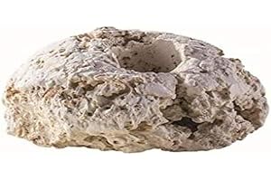 ARKA AQUATICS ARKA Reef Ceramic Frag-Stone Round Small 10 pcs.