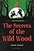 The Secrets of the Wild Wood (Letter for the King 2) by Tonke (Author) Dragt, Laura (Translator) Watkinson