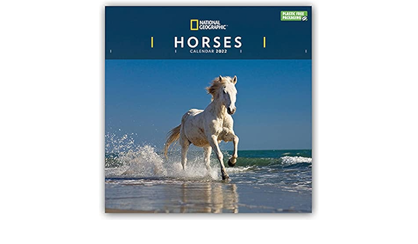 National Geographic Horses - Pferde 2022 - 16-Monatskalender: Original Carousel-Kalender [Mehrsprachig] [Kalender] : Amazon.fr: Livres