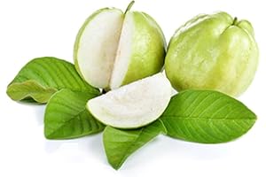 Indian Guava || 1.5 KG || £13.99 || FPG4U ||