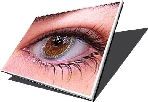 NEW Samsung NP-NC10 UMPC 10.2" WSVGA LED Screen - Please Check! NOT 10.1"