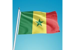 HOLLYLIFE Drapeau du Sénégal 150 x 90 cm avec 2 œillets Métalliques Grand Drapeau National Sénégalais Flag Senegal Fanion Tissue Parfait Pour Les Festivals, Manif, Decoration Extérieur du Jardin Défilé