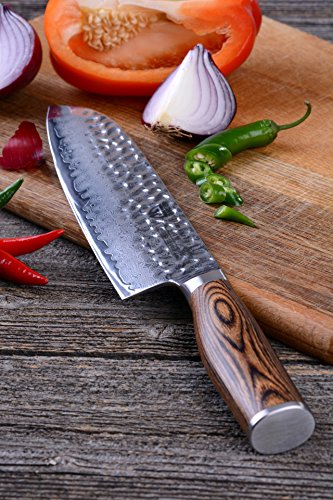 GRÄWE Damaszener Santokumesser Hammerschlag-Klinge – Sonderedition - 3