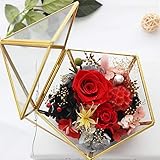 Material: Messing + Glas Geometrisches Glas Terrarium Box Schmuckschatulle Glas Sukkulente Pflanzgefäß Deko Multifunktional Glas Blumen Topf Tischplatten Pflanzer