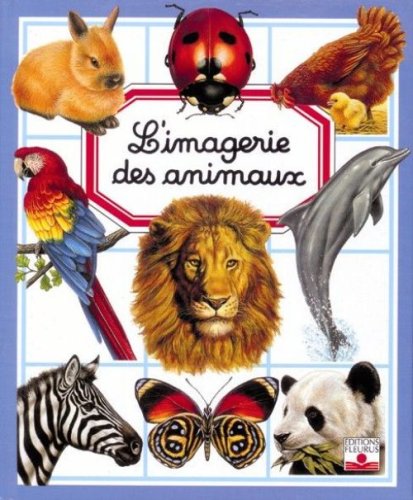 couverture de : Animaux + autocollant