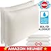 Produktbild Partner-Set 2x 80x40cm H15cm HWS Orthopädisches Kopfkissen Probiotic Ag+ Nackenstützkissen für Allergiker, aus Gelschaum, mit Silberionen, + GRATIS 2. äußeren Schutzbezug