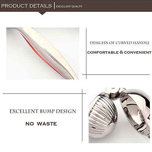 Acxeon Zitronenpresse in 7.0CM Durchmesser, Premium Qualität in Edelstahl Hand Zitruspresse Lemon Juicer, Sturdy Lime Squeezer, Hand Zitruspresse - 4