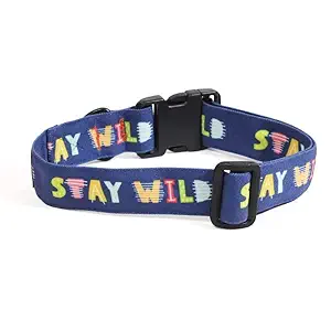 Lana Paws Stay Wild Canvas Fabric Dog Collar Belt for Large Dogs