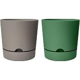 ToXA Begonya Saksı Tabaklı Drenajlı Mat Plastik &Ccedil;i&ccedil;ek Saksısı (2 Adet, 0,95 Litre, 12cm, Bej&Yeşil)