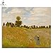Produktbild KYKDY Seerosenmalereien malen nach zahlen Claude Monet digitale Farbzeichnung Malen nach Zahlen mit Mappen Paket, 2090 Mohn, 50x40 kein Rahmen