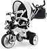 Tricycle City Max Injusa