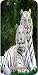 Back Cover for Ivoomi Me 3 421 RS.199.00
