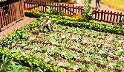 Preisvergleich Produktbild Noch 14130 Laser-Cut minis Erdbeeren, 48 Pflanzen, Modellbau, Modelleisenbahn