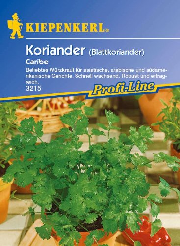 Sperli Gemüsesamen Koriander Caribe, grün