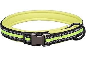 haoyueer Odblaskowa nylonowa obroża dla psa z klamrą bezpieczeństwa, regulowane obroże dla zwierząt domowych z miękką neoprenową wyściółką dla małych, średnich i dużych psów (rozmiar na szyję 50-65 cm, zielona)