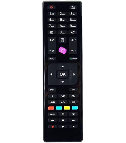 Télécommande Cortnn pour Télévision - Télécommande pour PRINCETON PR39FHD16B PR24HD17B PR32HD17B PR22FHD15B PR49FHD15B PR40FHD16B PR22FHD16B PR32HD22B
