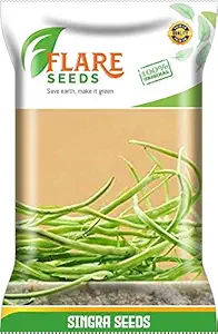 FLARE SEEDS SINGRA SEEDS - 100 SEEDS PACK