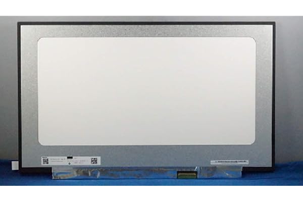 Écran de rechange mat pour Asus Zephyrus S GX701GX-EV016R ROG Zephyrus S GX701GX N173HCE-G33 Rev.C1 B173HAN04.0 17,3" avec écran LCD LED IPS sans support 40 broches eDP 144 Hz