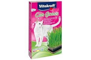 Vitakraft Cat Grass Seed Kit Wheatgrass for Pet, Grow Indoor Treat in Tray 120 Gram (Pack of 6)