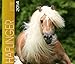 Haflinger 2014 Kalender: Haflinger Pferde - 46x39 cm by 