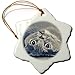 Produktbild 3drose Orn _ 23485 _ 1 Upside Down cat-snowflake Ornament, 3 Zoll, Porzellan