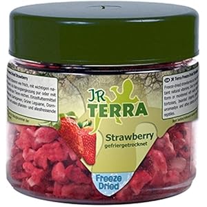 Terra Freeze Dried Strawberry Erdbeere