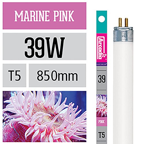Preisvergleich Produktbild Arcadia Marine Pink 39 Watt Lampe T5 TL5 Aquarium Meerwasser Leuchtstofflampe