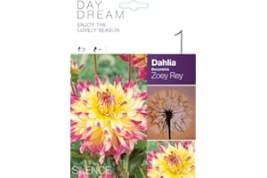 AGRONOM TESTED IN THE GARDEN AGRONOM | DALIAS COMO PLANTAS ORNAMENTALES - ZOEY REY | Bulbos de flores perennes | Flores diversas | Se cultivan en jardines de flores, macetas y céspedes en flor| 1 bulbo