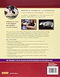 Image de Ferrets, Rabbits, and Rodents, Clinical Medicine and Surgery , 3rd Edition