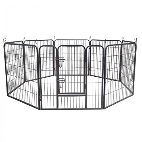 ZOOMUNDO-puppy-area-big