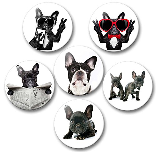 Französische Bulldogge Porträt - 6 große Kühlschrankmagnete Ø 5 cm [ 04 ]
