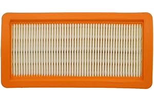 EVAYP Filtro HEPA per aspirapolvere/adatto per Karcher 6.414-631.0 adatto per DS 5500, DS 5600, DS 6000, DS 5800