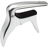 Ibanez IGC10 Gitar Kaposu