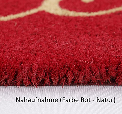 Kokos Fußmatte Welcome, Bodenmatte Schmutzfangmatte Fußabtreter 26×75 cm, Farbe wählbar (Grau-Weiss) - 2