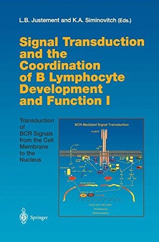 Signal Transduction and the Coordination of B Lymphocyte Development and Function I: Transduction of BCR Signals from the Cell Membrane to the Nucleus (Current Topics in Microbiology and Immunology) (1999-09-24) gratuit Signal Transduction and the Coordination of B Lymphocyte Development and Function I: Transduction of BCR Signals from the Cell Membrane to the Nucleus (Current Topics in Microbiology and Immunology) (1999-09-24) gratuit