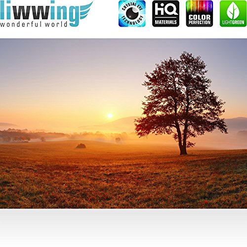 Vlies Fototapete 400×280 cm – Top ! PREMIUM PLUS Foto Tapete ! Wandbilder XXL Wandbild Bild Fototapeten Tapeten Wandtapete Wanddeko Wand Sonnenaufgang Baum Natur – no. 238 - 2