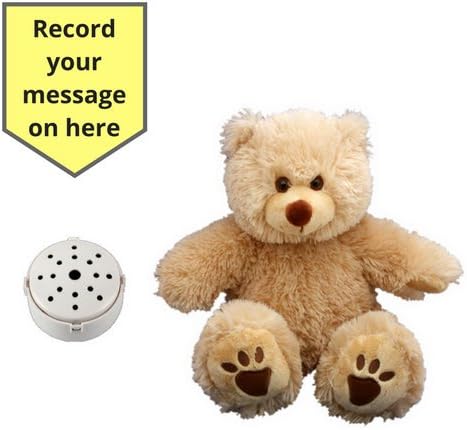 Splodge Recordable Gift Bear- 20cm "Biscuit" Teddy Bear - Record a 20 second personal message and send in a bear