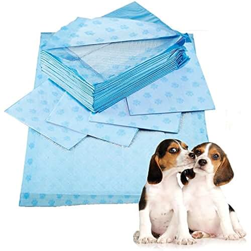 Amazon.co.uk puppy training pads 60x60 Pet Supplies Store