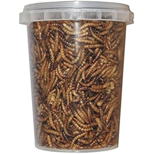 500 ml Mehlwürmer gefriergetrocknete / getrocknet | Reptilienfutter, Schildkrötenfutter, Futtertiere Igelfutter Vogelfutter