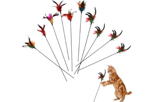 Cutiolly Giocattolo Gatto Piuma,10pcs Bacchetta Interattiva con Piuma,Giochi per Gatto,Canna da Gioco con Piume,Giocattoli Interattivo con Piume per Gatti