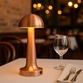 Electrical Products Rechargeable Touch Desk Lamp Lotus Rose | 3 Color Modes | Portable Rechargeable Lamp with Dimmer | USB Rechargeable Cafe