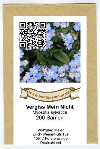 Vergiss Mein Nicht – Myosotis sylvatica – 200 Samen - 2