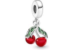 Wedanor Donna Ciondolo-Animale del cuore della famiglia Argento 925 Colgantes con Zirconia cubica per Charm Bracciale