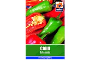 GENERIC Chilli Jalapeno Seeds - 30 Seeds Vegetable Grow Your Own Garden Salad Herb Vegetable Seed