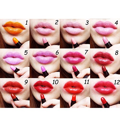 ROPALIA 12 Farben Mini Lippenstift Set Wasserdicht Langlebig Lippenstift Reise Set - 4
