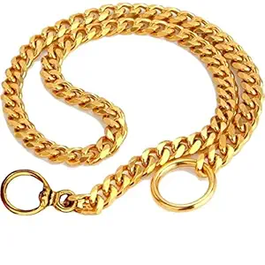 Pet Believe Heavy Weight Dog Brass Chain Dog Choke Chain Suitable for All Breeds Size 10no. 30 Inches